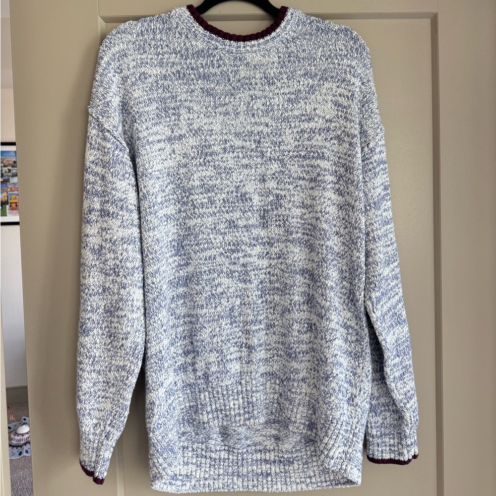 BDG Blue and White Men's Sweater